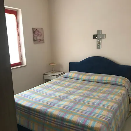 Camelia 基耶乌蒂